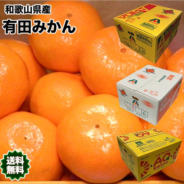 みかん 10kg 有田 送料無料 和歌山 赤秀 Sサイズ 贈答用 ギフト みかん 10kg 有田 送料無料 和歌山 赤秀 Sサイズ 贈答用 ギフト