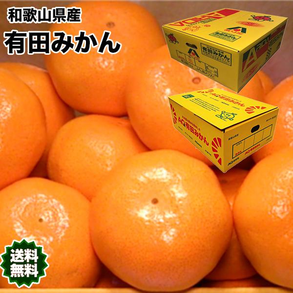みかん 5kg 有田 送料無料 和歌山 赤秀 Sサイズ 贈答用 ギフト みかん 5kg 有田 送料無料 和歌山 赤秀 Sサイズ 贈答用 ギフト