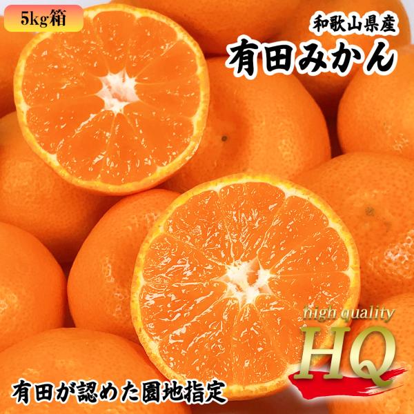 みかん 5Kg 小玉 有田 ミカン 和歌山県産 HQみかん Lサイズ 園地指定