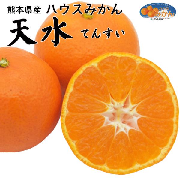 お中元 夏ギフト みかん 2.5kg 熊本県産 ハウス みかん 天水 秀 Mサイズ 2.5kg 送料無料 クール便配送 贈答用 ギフト ハウスみかん ミカン 爆買