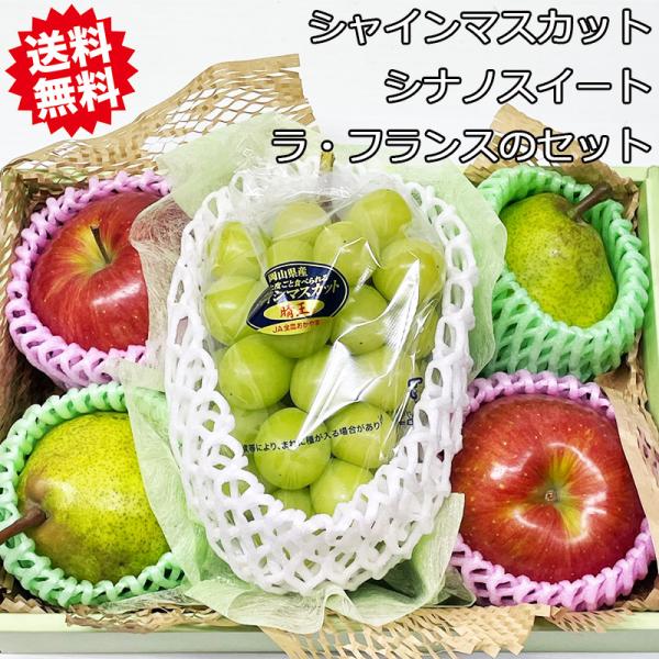 りんご 洋梨 ぶどう セット お歳暮 贈り物 ギフト シナノスイート と