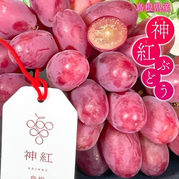 夏ギフト 高級ぶどう 神紅 島根県産 神紅ぶどう2房 約1kg 化粧箱入 しんく ブドウ 葡萄 暑中見舞い 残暑見舞い お中元 ギフト プレゼント 爆買