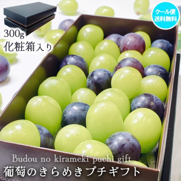 ふきのとう ぶどう フルーツギフト きらめきプチギフト 300g 化粧箱 ぶどう