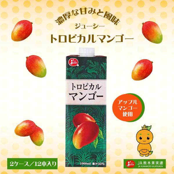 ジューシー JA熊本果実連 トロピカル マンゴー ジュース 2ケース セット 12本 送料無料 爆買