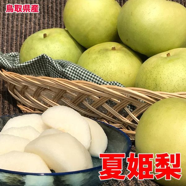 梨 なし 鳥取県産 なつひめ 秀品 5kg 18〜22玉 ご贈答用 送料無料 鳥取 梨 夏姫 なし ナシ 梨 青梨 夏ギフト 暑中見舞い 残暑見舞い 爆買