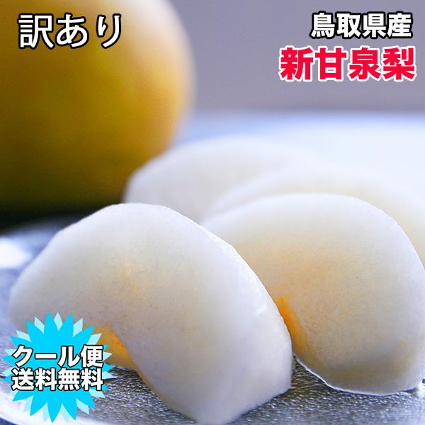 梨 5kg 送料無料 訳あり 鳥取県産 新甘泉梨 6〜20玉入 ご家庭用