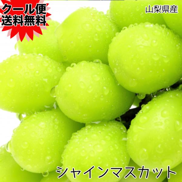 ぶどう シャインマスカット 山梨県産 シャインマスカット 2房入 1.4kg 希少品種 ギフト 敬老の日 マスカット クール便 送料無料 爆買
