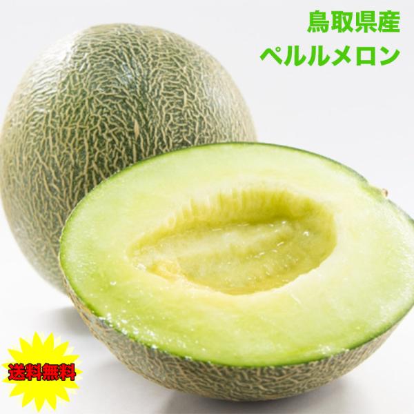 メロン マスクメロン ネットメロン ペルル 鳥取県産 ペルルメロン 5Lサイズ 3玉入 茶箱 高糖度 送料無料