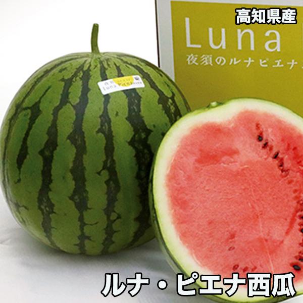 西瓜 すいか スイカ 中玉サイズ 送料無料 高知県産 ルナピエナ 西瓜 約5kg〜7kg 金時 TVで紹介された貴重なスイカ