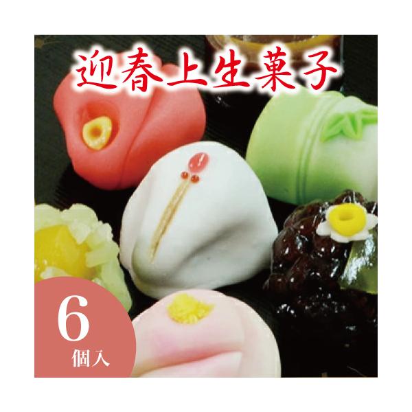 迎春の上生菓子6個入 上生菓子 お正月 お年賀 ギフト 和菓子 詰め合わせ ご挨拶 お菓子 生菓子 スイーツ お取り寄せ 子年 老舗 Buyee Buyee 日本の通販商品 オークションの代理入札 代理購入