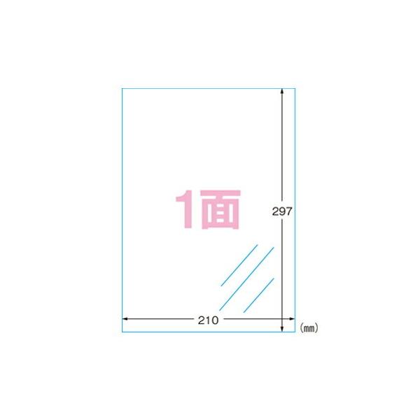 エーワン ラベルシール 光沢フィルム 透明 A4 ノーカット 10シート
