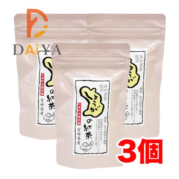 宮崎茶房 しょうが紅茶 ティーバッグ (3g×12包) 生姜紅茶 和紅茶 国産茶葉 宮崎県五ヶ瀬町 乾燥生姜 ブレンド×3個