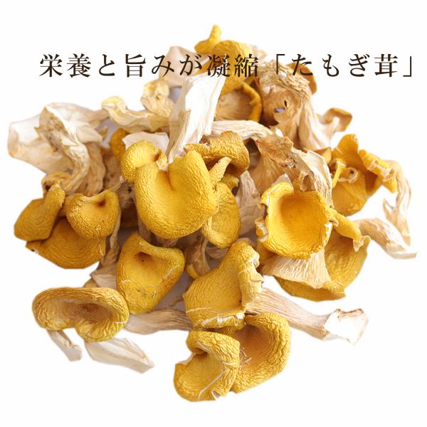乾燥 たもぎ茸 タモギタケ 100gx2袋 無添加 黄金たもぎだけ 乾燥 たもぎ茸 タモギタケ 100gx2袋 無添加 黄金たもぎだけ