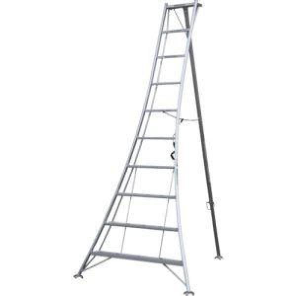 I】【法人限定】アルインコ(ALINCO) 三脚脚立 全高:3.08m KWX300 10尺