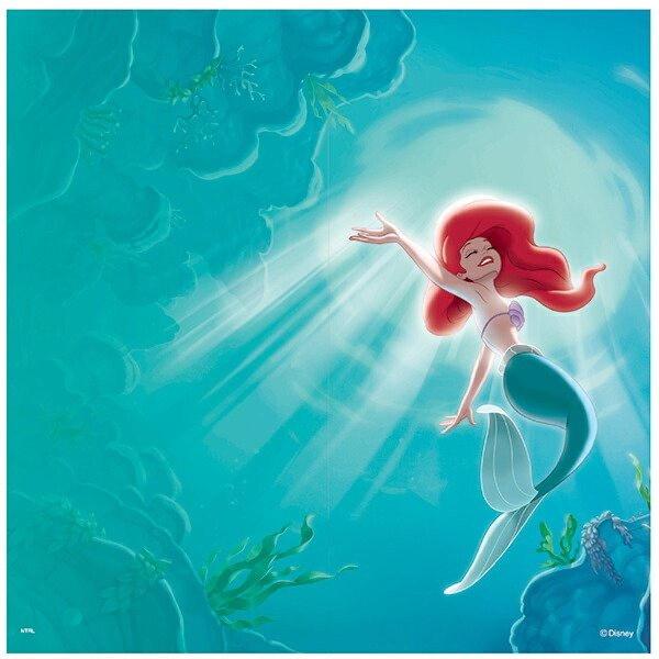 daiyu8-y_4970925188908