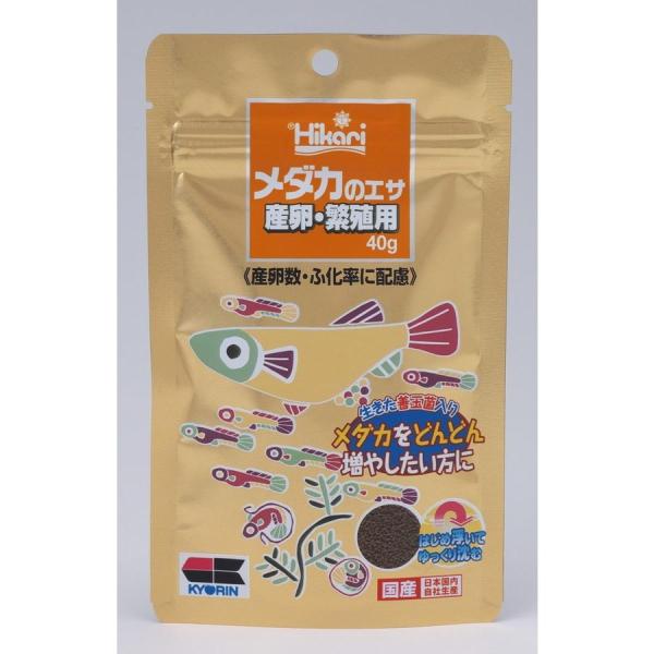 メダカのエサ産卵繁殖用40g : ダイユーエイト.com ヤフー店 - 通販