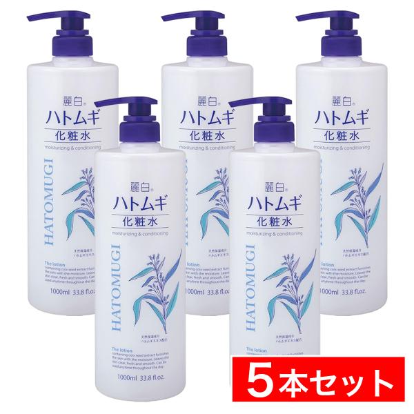 daiyu8_4513574025882-5set