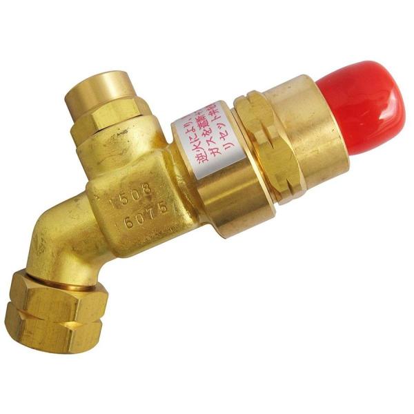 スズキッド(SUZUKID) アセチレン用逆火防止器 W-108 wyw801m SUZUKID（スズキッド） アセチレン用乾式逆火防止器 W-108 電気・ガス
