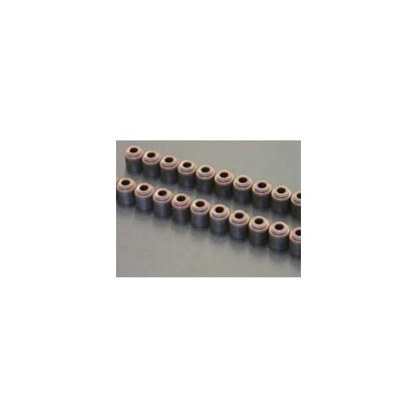 S20 ICV[ FJ20 pouICV[ TLGW[NX