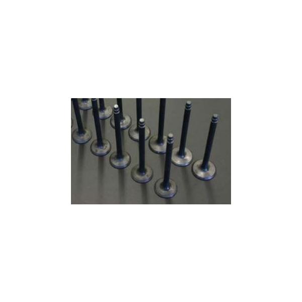 FJ20 X^_[hou 1䕪 TLGW[NX