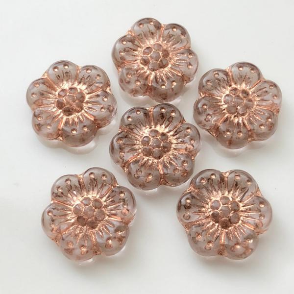 y4pbNZbgz`FR r[Y fUC t[ yCgAWXg/uYz14mm 6 t[ All  sAX CO uXbg p[c n