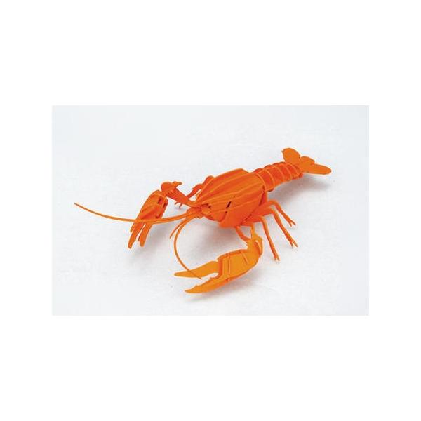 立体 ペーパークラフト ウラノ 3Dペーパーパズル アメリカザリガニ