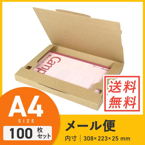 【クリックポスト・ネコポス（個人フリマ向け）】A4厚さ3.0cm・ジッパー付きケース 100枚セット