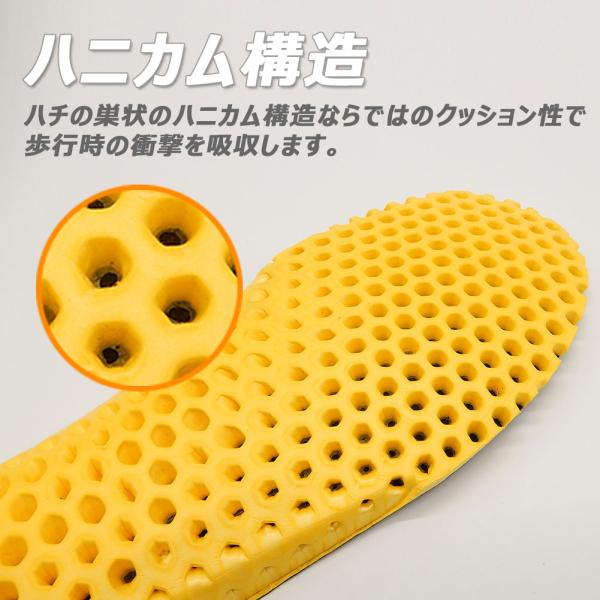 dance-nets_zca-eva491_1_d_20250922120913