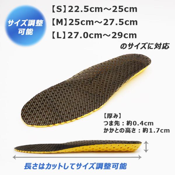 dance-nets_zca-eva491_3_d_20250922120913