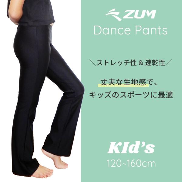 ZUM(�X��) �q���p�_���X�E���K �p���c ZD201CH ���i�摜1