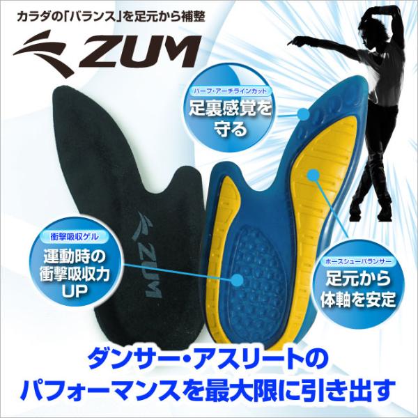 dance-nets_zin502h dance-nets_zin502h