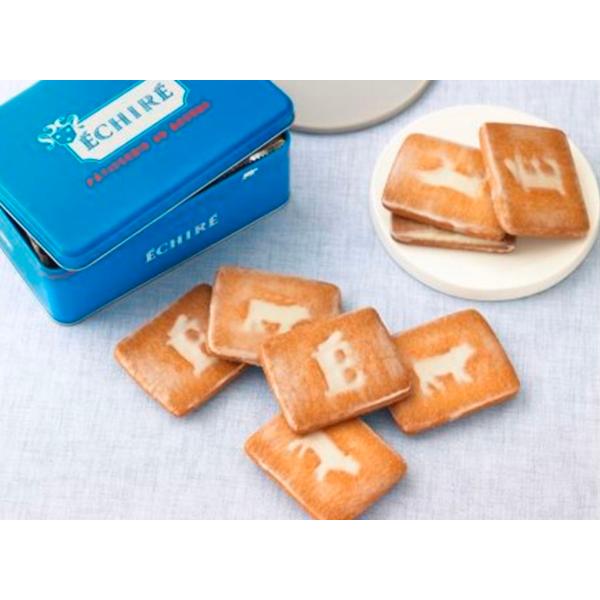 エシレバターの焼き菓子アソート Amazon.co.jp: フランス産（エシレ村）発酵バターの焼き菓子