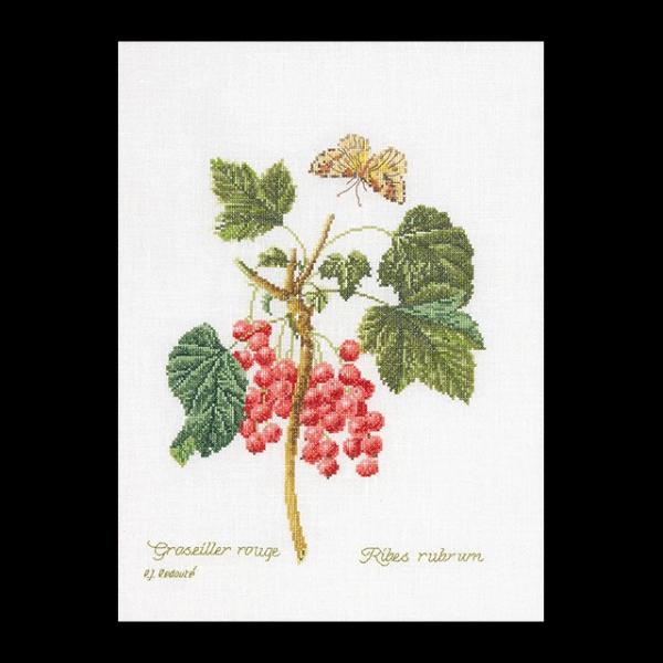 eA@O[xk[@hJLbgiAC[_j yRed Currantzҁ[㋉Ҍ 񂹃Lbgi[30-90xj