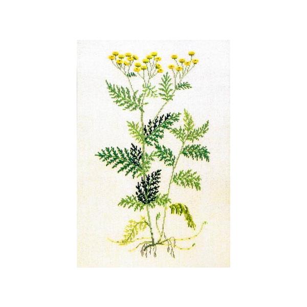 t NXXeb` hJLbg yMMNz ̉ԁ@n[uƖ򑐁@f}[N AイLbg