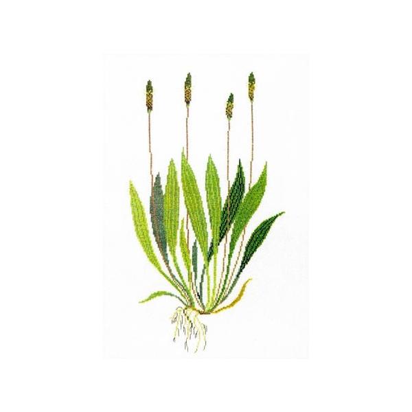 t NXXeb` hJLbg yIIoRz ̉ԁ@n[uƖ򑐁@f}[N AイLbg