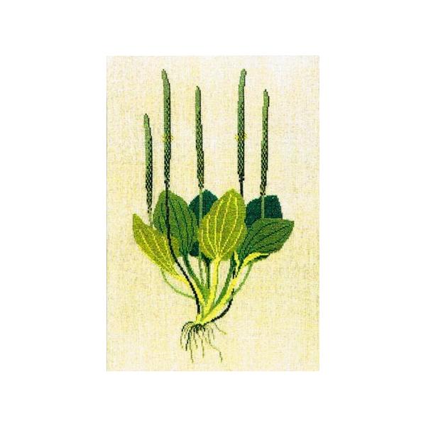 t NXXeb` hJLbg yIIoCNTz ̉ԁ@n[uƖ򑐁@f}[N AイLbg