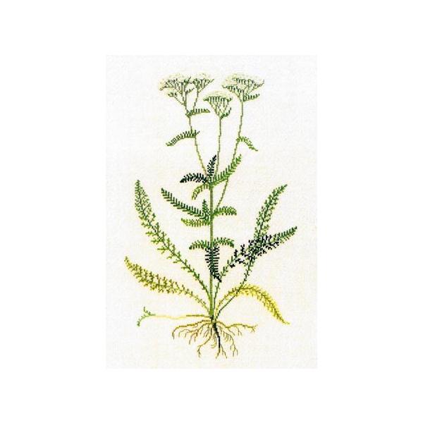 t NXXeb` hJLbg yZCEmRM\Ez ̉ԁ@n[uƖ򑐁@f}[N AイLbg