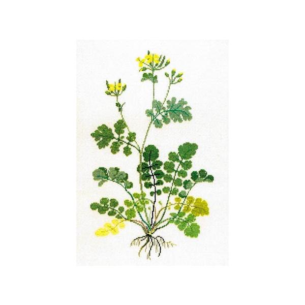 t NXXeb` hJLbg yNTmIEz ̉ԁ@n[uƖ򑐁@f}[N AイLbg