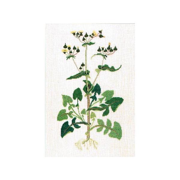 t NXXeb` hJLbg ymQVz ̉ԁ@n[uƖ򑐁@f}[N AイLbg