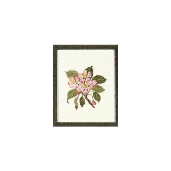 t NXXeb` hJLbg yAPPLE BLOSSOMzԂƎ؁@f}[N AイLbg