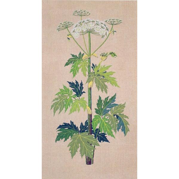 t NXXeb` hJLbg yHOGWEEDiniEhjz ̉ԁ@f}[N AイLbg