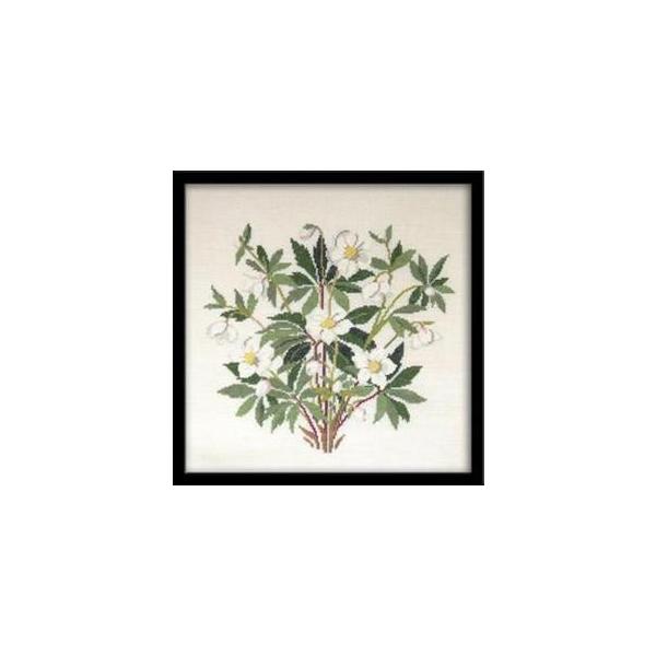 t NXXeb` hJLbg yCHRISTMAS ROSE zԂƎ؁@f}[N AイLbg