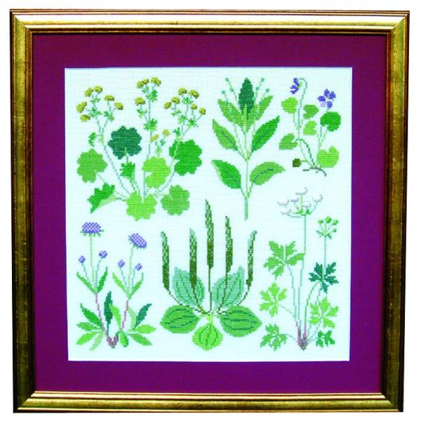 t NXXeb` hJLbg y쑐EE2z ̉ԁ@f}[N AイLbg