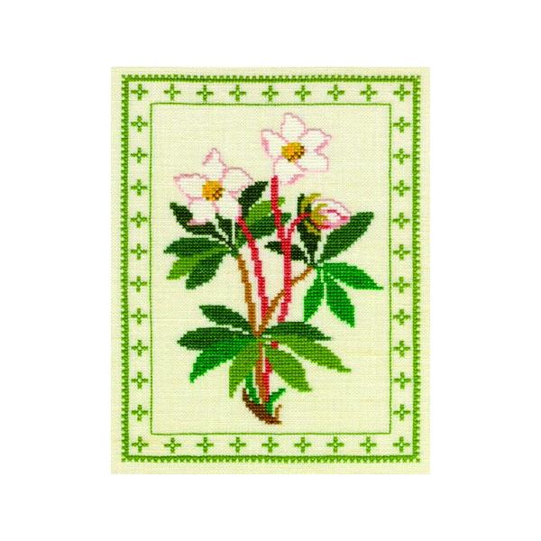 t NXXeb` hJLbg yNX}X[Yz NX}X f}[N AイLbg