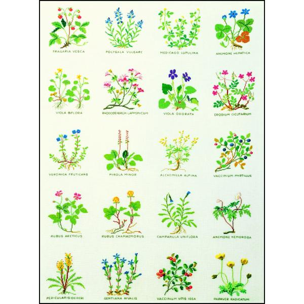 t NXXeb` hJLbg ỷԁEE6z ̉ԁ@f}[N AイLbg