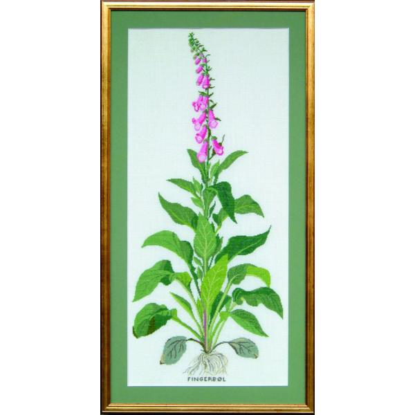 t NXXeb` hJLbg yFOX-GLOVE iWM^Xjz ̉ԁ@f}[N AイLbg