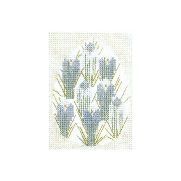 t NXXeb` hJLbg yCROCUS IN EGGz i f}[N AイLbg