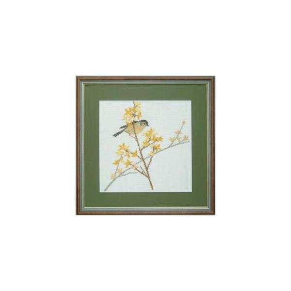 t NXXeb` hJLbg yWILLOW WARBLERzƓ@f}[N AイLbg