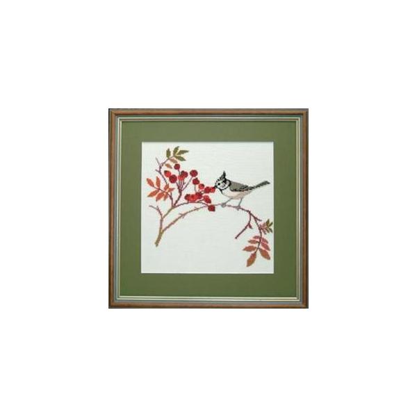 t NXXeb` hJLbg yCRESTED WARBLERzƓ@f}[N AイLbg