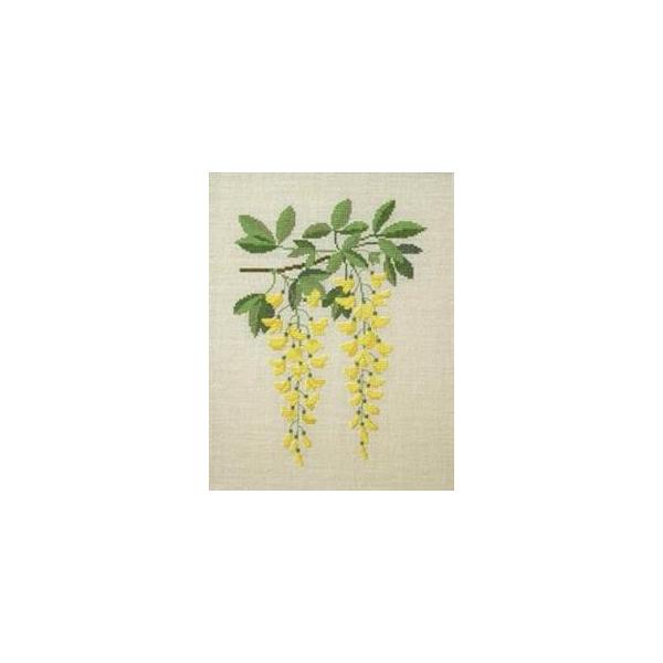 t NXXeb` hJLbg yLoitWzԂƎ؁@f}[N AイLbg